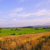 富良野・美瑛