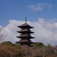 備中国分寺　2012秋
