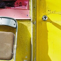 一本のフィルムが写した日常