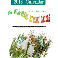 2013カレンダー