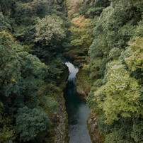 天岩戸橋から見えた川面