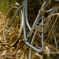 捨てられた自転車