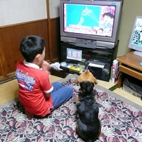 PANASONIC(パナソニック)のデジタルカメラLUMIX DMC-TZ3 で撮影