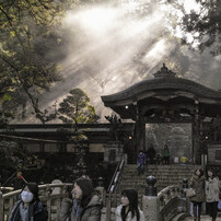 神社仏閣教会モスク