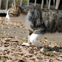 仙台西公園１