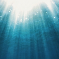海の中から