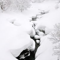 きたぐにの雪景色