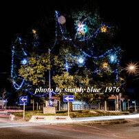 Night Shot