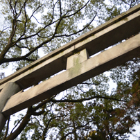 ２０１３年　初詣