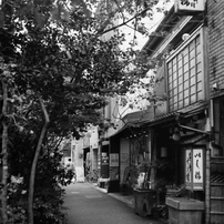 400TX