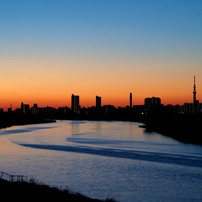 ‎"Tokyo Morning Glow"