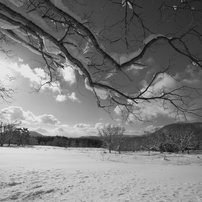 雪原の晴れ間