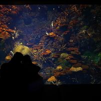 水族館