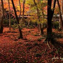 京の秋