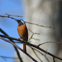 ❤️超望遠❤️TAMRON 200-400mm❤️野鳥・スポーツ撮影❤️ ❤️超望遠❤️TAMRON 200-400mm❤️野鳥・スポーツ撮影❤️