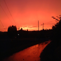 FUJIFILM(富士フイルム)のデジタルカメラFinePix 6900Z で撮影した写真