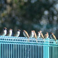 ❤️超望遠❤️TAMRON 200-400mm❤️野鳥・スポーツ撮影❤️ ❤️超望遠❤️TAMRON 200-400mm❤️野鳥・スポーツ撮影❤️