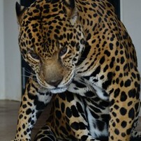 DSC_1138_007