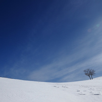 雪原の丘