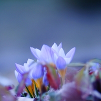 _DSC5523_R