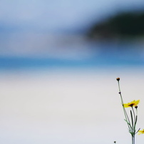 夏色