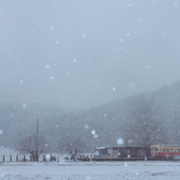 雪が降る