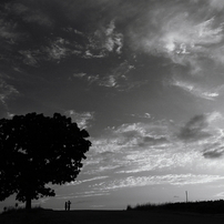 CANON(キヤノン)のデジタル一眼EOS 40D で撮影した写真(画像)一覧(833