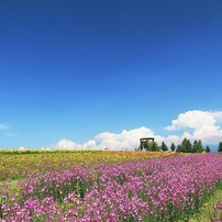 CANON(キヤノン)のデジタル一眼EOS 40D で撮影した写真(画像)一覧(833