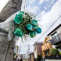 Flowers6