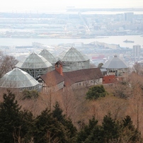 神戸（ハーブ園・南京町）撮影会