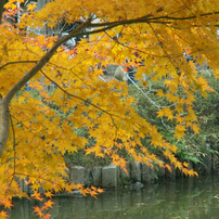 ２００７年