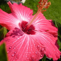 SANYO Xacti DSC-S6型　オールドデジカメ 2005 SANYO Xacti DSC-S6（メモリーカード&電池付き） – 東京CAMERA