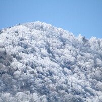 青の洪水