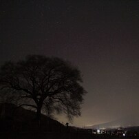 わに塚の桜の木と星空