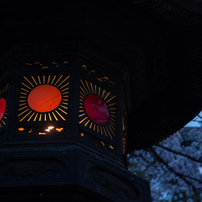 YASUKUNI