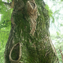 千葉、勝浦、泉自然公園