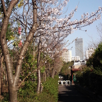 FUJIFILM Finepix AV210 ファインピクス　作例あり Fujifilm FinePix AV210 sample photos - ExploreCams