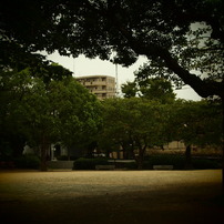 20090821常盤公園2