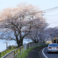 大村湾を背に