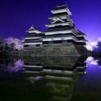 sakura2011