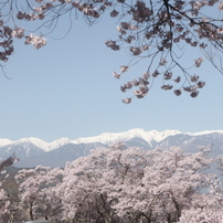 高遠城址公園にて。駐車場から。