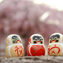2013年の花見