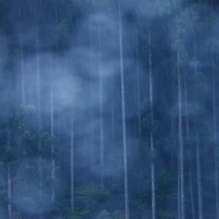 夏の雨