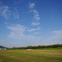 河川敷