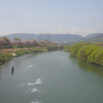 京都府八幡市の三川合流域の植物・風景