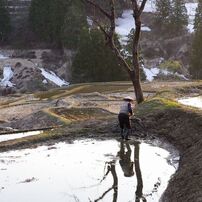 栃尾の棚田