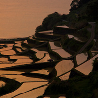 浜野浦2013