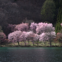 大糸線沿線の春