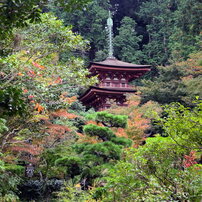 浄瑠璃寺三重塔