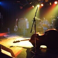 THE CATTLEFISH FRITTER